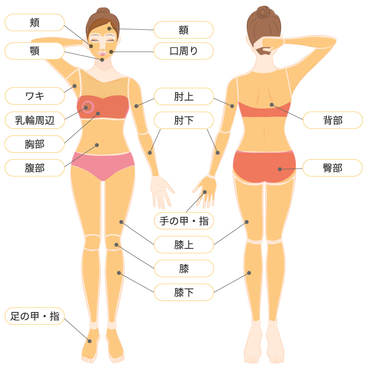 全身脱毛プラン＋顔脱毛プラン