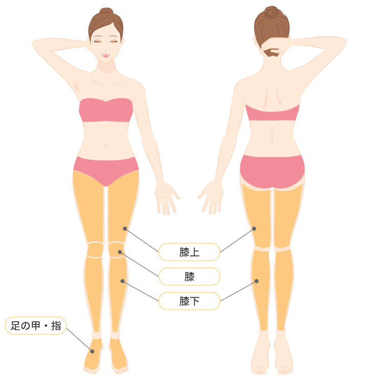 脚全体脱毛プラン